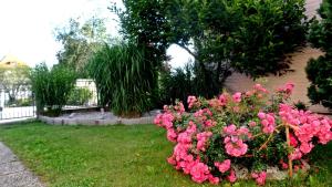 Zahrada ubytování Haus Floresa