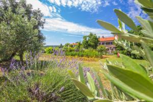 a garden with purple flowers and a house in the background at Pula Istria Apartments in Pula