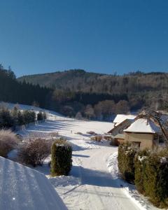 a snow covered road with a house in the distance at La Petite demeure in Le Hohwald +23 photos