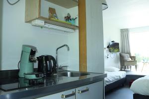 a kitchen with a sink and a mixer on a counter at Tiny Cottage op Camping "De stal" in Drijber +9 photos