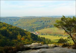 Příroda nedaleko bed and breakfast