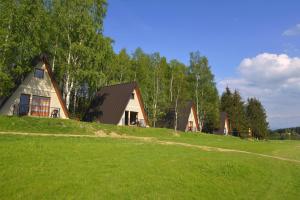 a group of houses on a grassy hill with trees at GolfSPA Golfowa Wioska in Szczytna