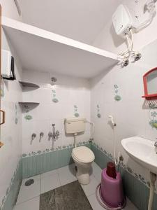 a bathroom with a toilet and a sink at 2BHk Homestay Opp Mysore Zoo, Kamadhenu Homestay B in Mysore
