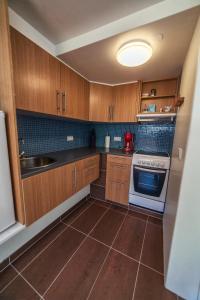 Η κουζίνα ή μικρή κουζίνα στο Sólheimar Studio Apartment