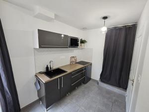 a small kitchen with a sink and a counter at Studio indépendant Le Vast in Le Vast