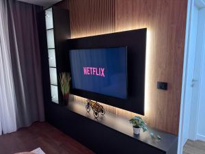 Foto dalla galleria di Tesla Apartman's 4 a Kragujevac