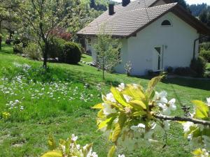 Κήπος έξω από το Haus Fernblick