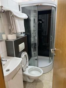 a bathroom with a shower and a toilet and a sink at Mostarlic Motel in Raskršće