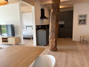 Μια τηλεόραση ή/και κέντρο ψυχαγωγίας στο Gulfhof Funnixerhörn dree +18 φωτογραφίες