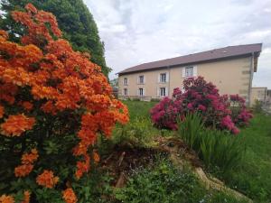 a garden with colourful flowers in front of a building at Le Faing Du Bray in Plombières-les-Bains