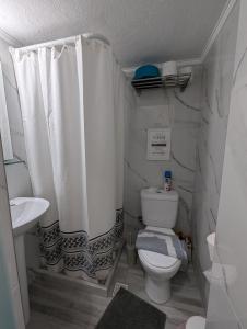 a bathroom with a toilet and a shower curtain at Eva Beach Studio in Néa Péramos