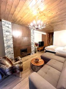 uma sala de estar com um sofá e uma lareira em Go-Gudauri The Atrium Residence em Gudauri