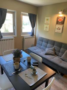 a living room with a couch and a table at Ski Apartment in Passo del Tonale