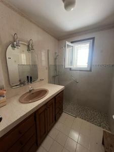 une salle de bain avec un lavabo et une douche avec un miroir dans l'établissement Villa Santa Rita, à Lucciana 32 autres photos