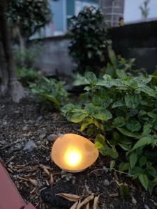 Taman di luar Tokushima - house / Vacation STAY 573
