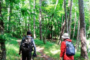入住Haramura - house / Vacation STAY 2211的客人