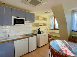 Kuchyň nebo kuchyňský kout v ubytování T2 calme, vue ville et lac, animaux admis, parking et climatisation - FR-1-555-42