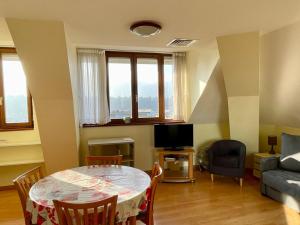 TV a/nebo společenská místnost v ubytování T2 calme, vue ville et lac, animaux admis, parking et climatisation - FR-1-555-42