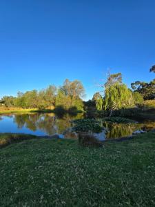 Foto dalla galleria di Peppercorn Cottage Maldon a Maldon Altre 30 foto