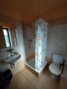 een badkamer met toilet en douchegordijn bij Chalupa u Čarodějky in Vernířovice +15 foto's