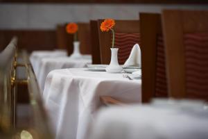 Fotografie z fotogalerie ubytování Steigenberger Hotel & Spa Bad Pyrmont v destinaci Bad Pyrmont