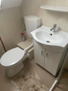 a bathroom with a white toilet and a sink at Napocska Nyaralóház Keszthely in Keszthely
