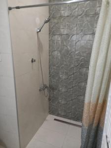 a shower with a glass door and a stone wall at Central apartment's in Trikala 2 in Tríkala