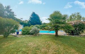 palma in un cortile con piscina di Maison Avec Piscine Et Etang a Tournon-dʼAgenais