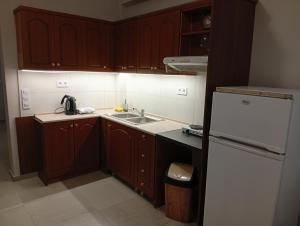 Η κουζίνα ή μικρή κουζίνα στο Central apartment's in Trikala 2