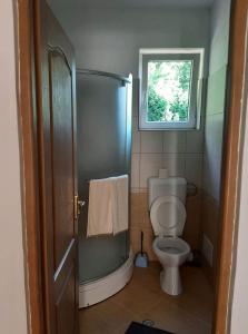 a bathroom with a toilet and a shower and a window at Pensiunea Fortuna in Sovata +28 photos