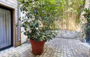 Eine große Anlage in einem Topf neben einem Gebäude in der Unterkunft 1 Bedroom Lovely Apartment In La Rochelle in La Rochelle