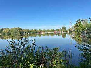a view of a lake with trees in the background at L’Escale du lac in Brêmes +17 photos