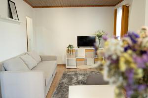 a living room with a couch and a tv at Geres Andorinhas House in Vieira do Minho