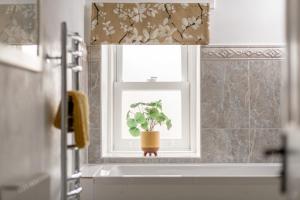 a window with a potted plant in a bathroom at Kilmore Paws and Relax in Comrie +50 photos