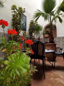 ein Raum voller Pflanzen und roter Blumen in der Unterkunft Hostel Hotel & Riad in Essaouira