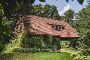 Zahrada ubytování Glinki - Leśna oaza z kominkiem 20 min od Torunia