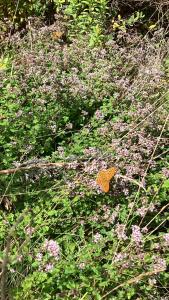 Fotografie z fotogalerie ubytování Mysig stuga med wifi v destinaci Bergshamra