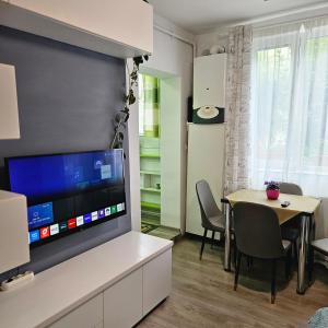 TV a/nebo společenská místnost v ubytování Apartament Zarnesti free parking VMP 2