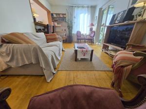 ein Wohnzimmer mit Sofa und Fernseher in der Unterkunft Grande maison calme proche centre terrasse jardin in Besançon