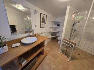 ein Badezimmer mit Waschbecken, Dusche und Toilette in der Unterkunft Grande maison calme proche centre terrasse jardin in Besançon + 23 Fotos