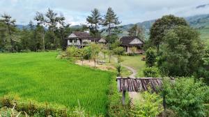 a house in the middle of a green field at Lapantan Paradise in Mù Cang Chải
