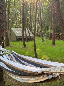 a hammock in a forest with a tent at Sanovia Glamping Max in Reczpol