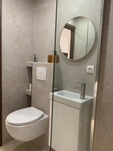a bathroom with a toilet and a sink and a mirror at studio indépendant plain pied jardin & piscine in Grasse