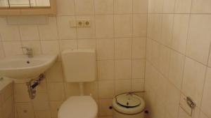 a small bathroom with a toilet and a sink at Ferienwohnung Ernst 10 in Gelenau +6 photos