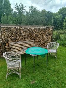 a picnic table and two chairs in front of a pile of logs at Apartmán Na Myslivecké in Zlaté Hory +3 photos