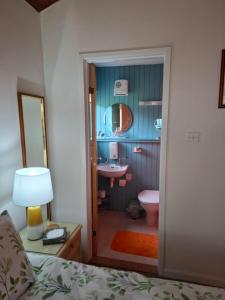 a bedroom with a bathroom with a sink and a toilet at Aquila Retreats in Comrie