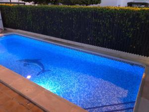 トレ・パチェコにあるVilla with private pool & jacuzzi - CA27LTのサメが泳ぐスイミングプール