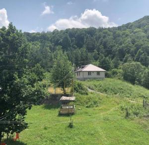 Fotografie z fotogalerie ubytování Green Hills Resort v destinaci Hankavan