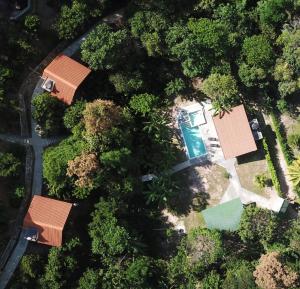 an overhead view of a house with a swimming pool and trees at MAYU PATANPI Amazon Lodges in Tarapoto