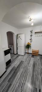 Kuchyň nebo kuchyňský kout v ubytování Sophia Apartament